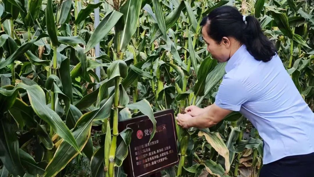 微信圖片_20250617174238